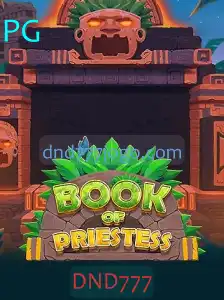 Descubra o Universo de BookOfPriestess: Regras e Imersão no Jogo DND777